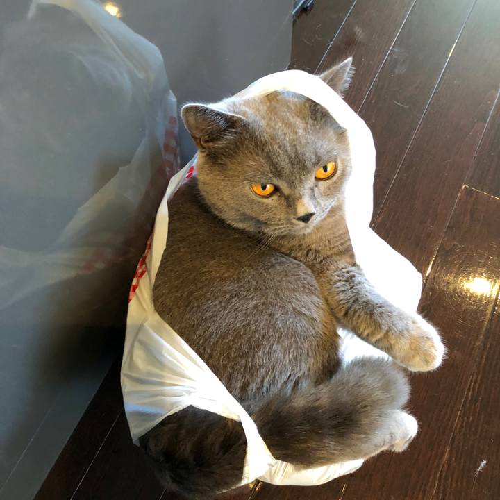 D4b90f05 9580 4493 82a2 a83414822f21 1528172897170