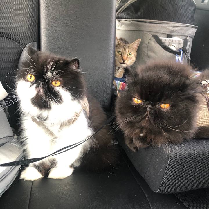 D4b91103 031c 4f4e 8244 4ec69d243571 1699144433597