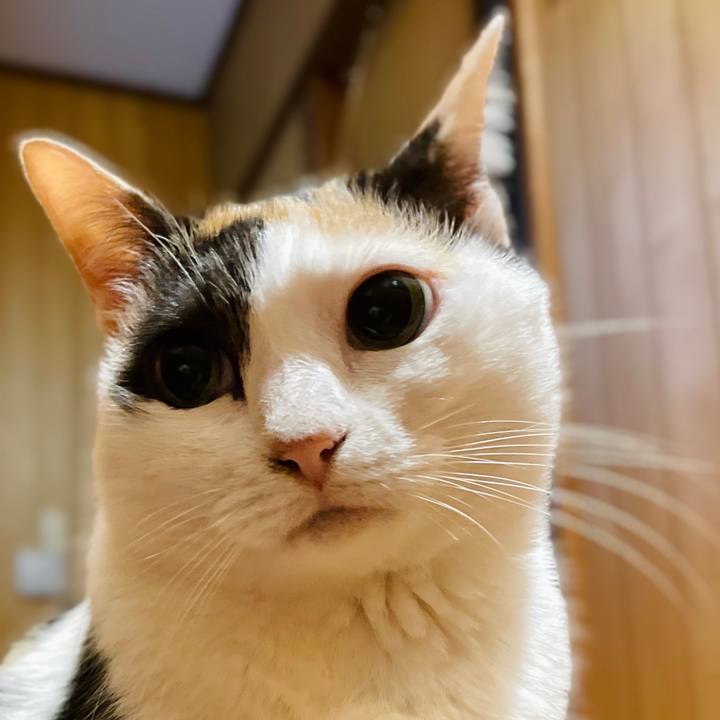 D4b92dfb 10db 427b 87d3 5175b2d5e1b4 1657589915153