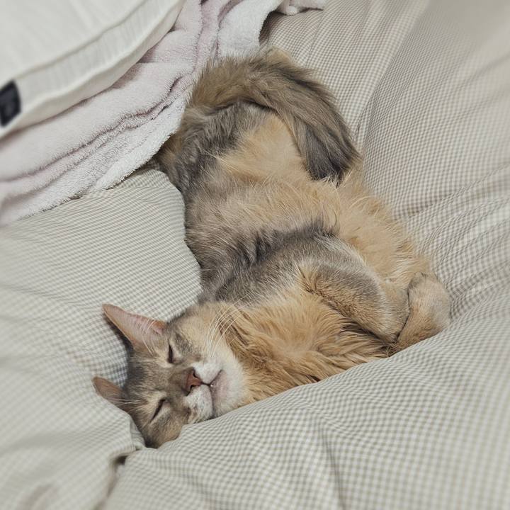 D4b93345 6343 4996 82fb 1e977cdf6f1e 1763013644411