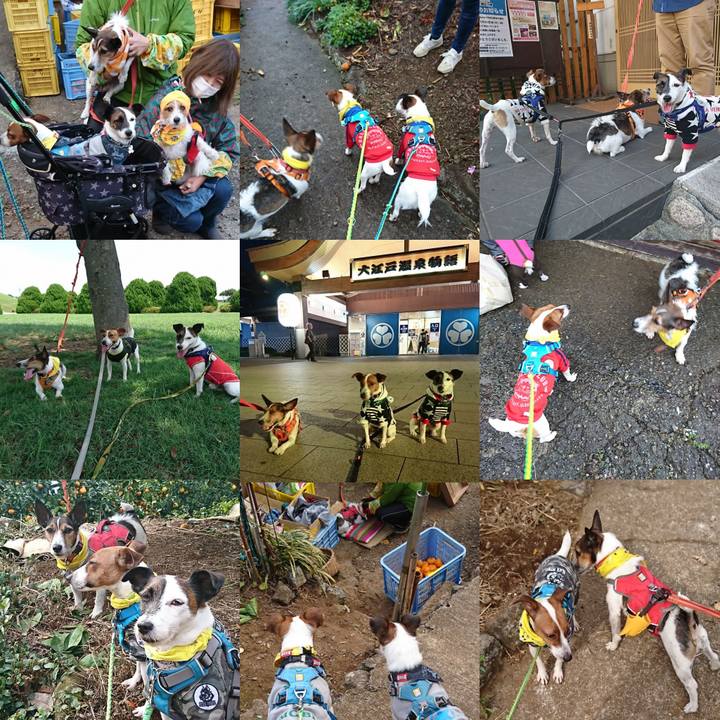 D4b99a9c bb33 42ff bcdd ba971ca9414b 1647219198138