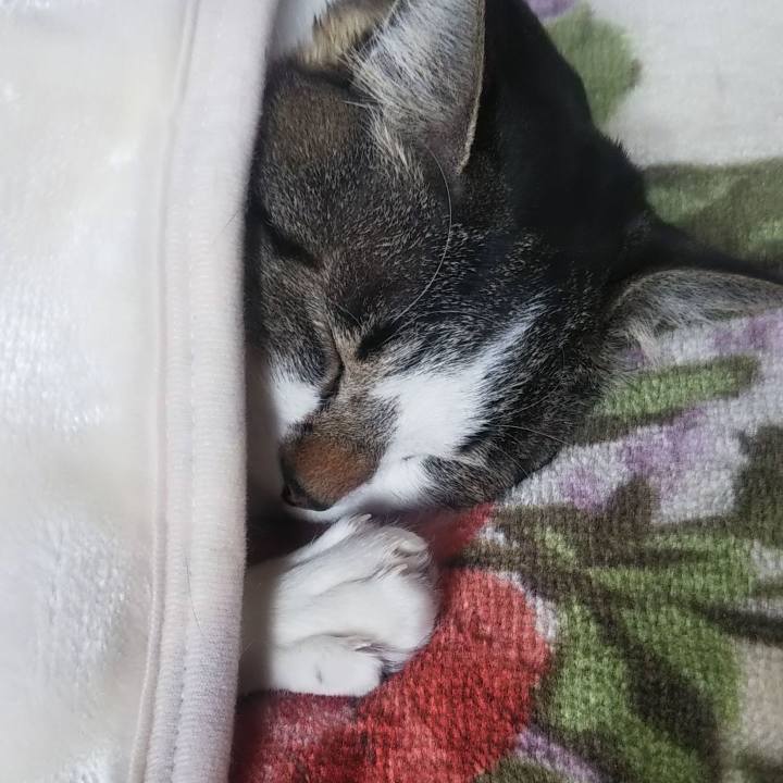 D4b9a478 7bba 41ab b7f6 b338fcbe67f7 1637979123534