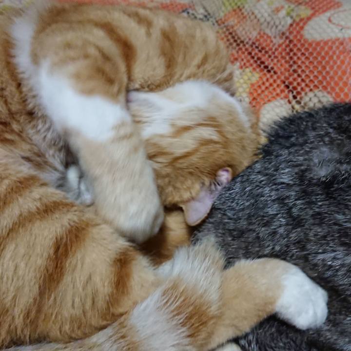 D4b9b6cd 9724 47d6 b3ad 39c48e3a6e39 1571752069616