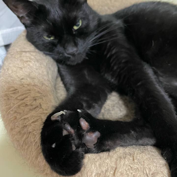 D4b9d5cc 9cff 461b b1f3 63da639665dc 1663503769989