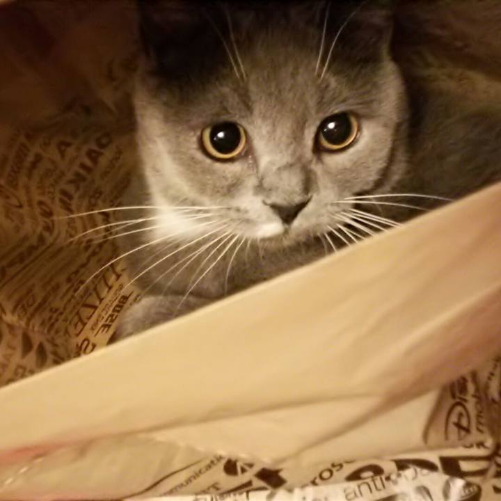 D4ba03c9 9cf9 4fe4 8bd5 46f019259e60 1555070124740