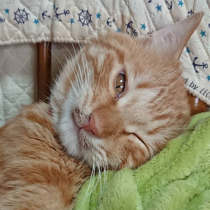 D4ba1ed2 91cb 465d 8a84 ff8b8dc1043e 1641018751153