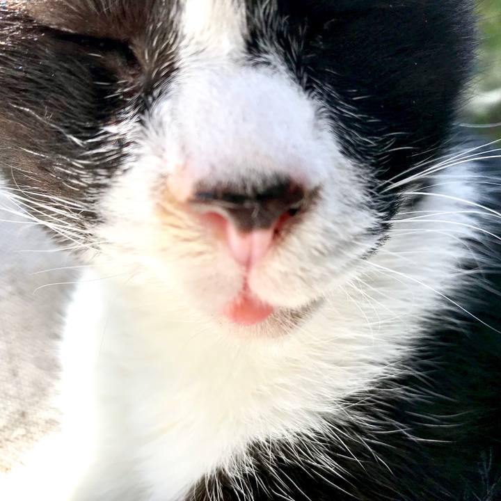 D4ba2be5 427d 4397 a4e4 0bb57bee60a7 1553050082746