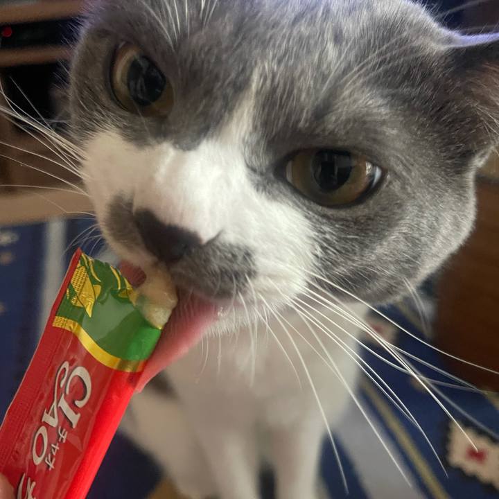 D4ba2d16 c3ef 4be2 a1c1 c06c47a75c6e 1629791416823