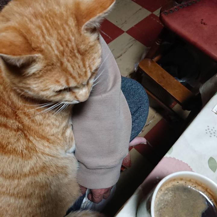 D4ba41d5 abe8 45ce b80e 8aad26985466 1586202356266