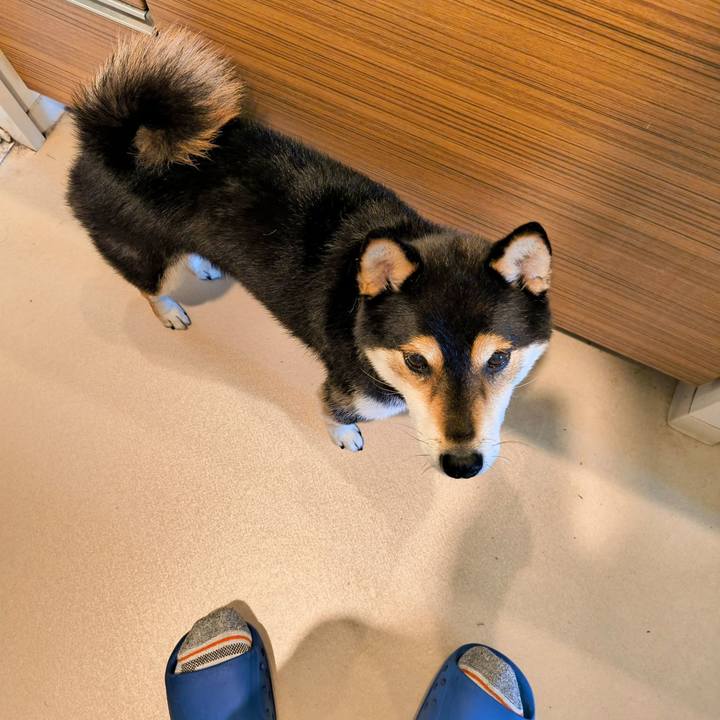 D4ba4e10 68b6 430f 8b77 6dee8b26ad43 1762917828097