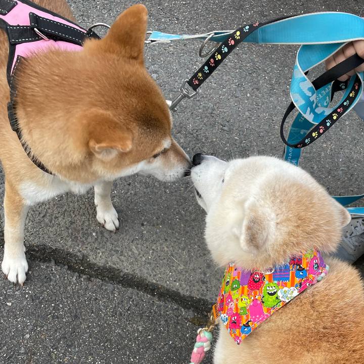 D4babbdd f544 4211 a10b dd25952150f9 1665552776163