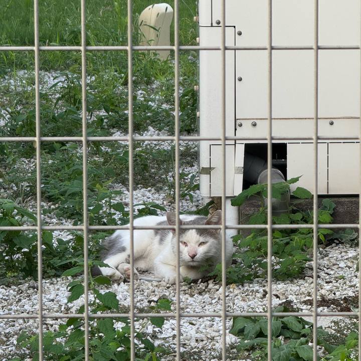 D4bac659 f6db 4d38 a7b6 497ec2a3d11b 1756248626121