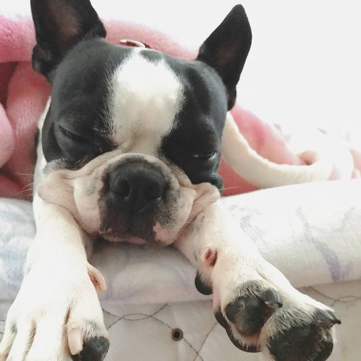 D4bad83f 203d 4d92 9fcf 0ec456b266e9 1510702163799