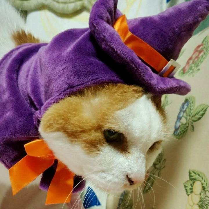 D4baffcb b09e 4cbd 9466 01a601e6812e 1634900535783