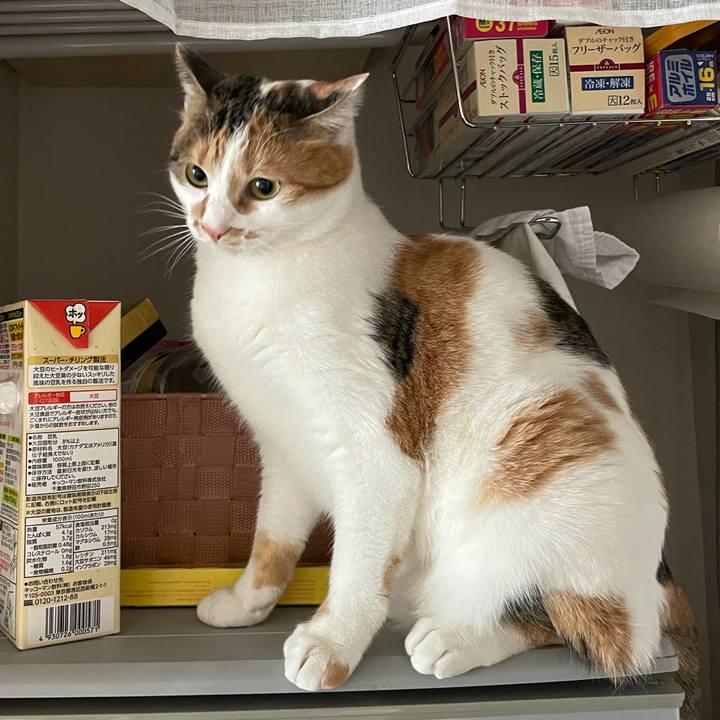 D4bb08e5 bf3c 4afc 853b 995fd6e99236 1611546436497