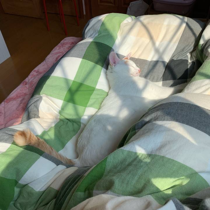 D4bb160f 5f5c 4803 b0fd dc1bc453a694 1554615010660