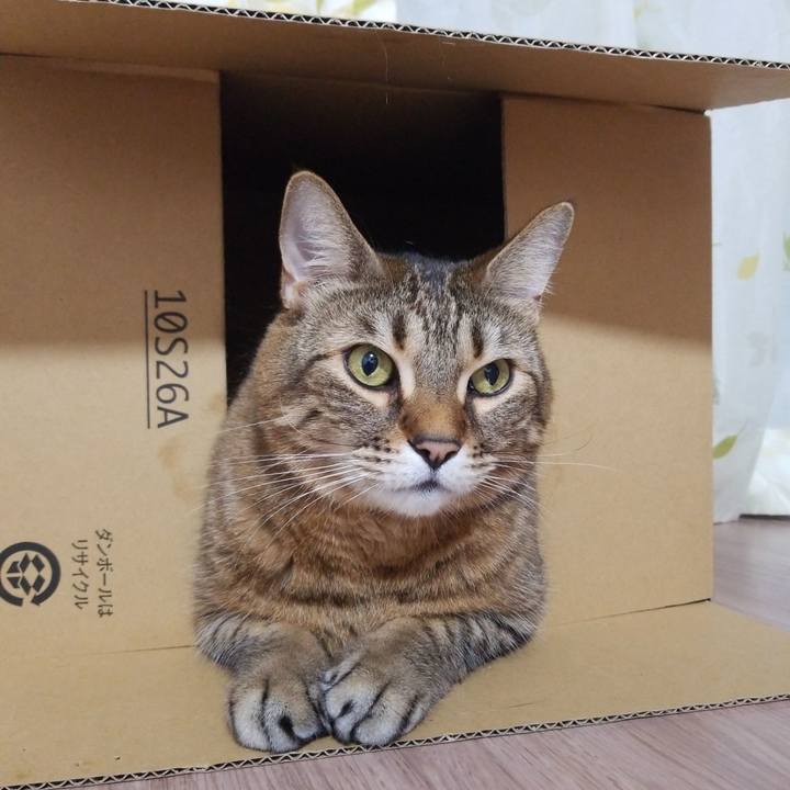 D4bb192a 9d70 400a af23 426742bdfe2c 1585658256022