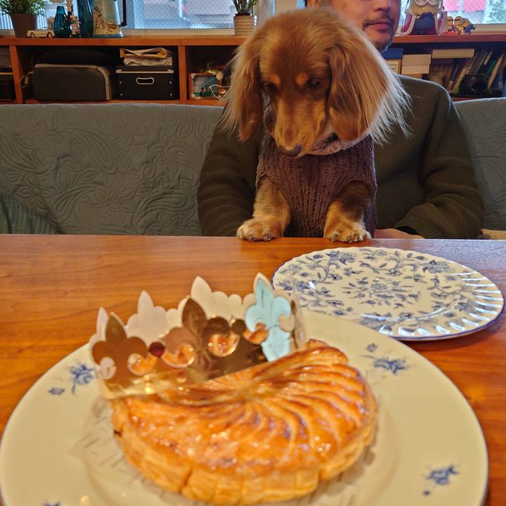 D4bb57e6 855d 4ef5 af16 5c4a5ae72895 1705732200312