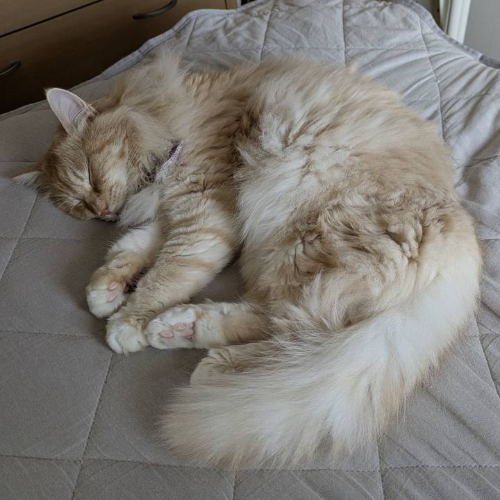 D4bb5c17 1507 43f5 9292 f2c37a0400f8 1753401493477