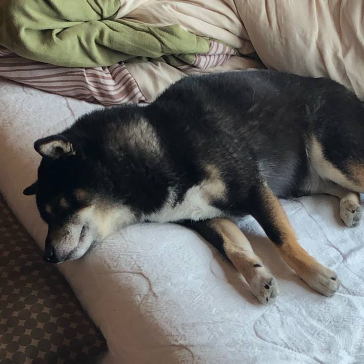 D4bb8358 8e77 43c1 b440 fa4e979f0627 1549502687886