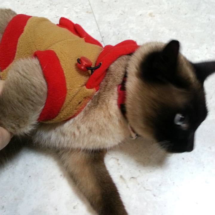 D4bb8601 e73d 40de b979 1bd24a74f148 1573303721752