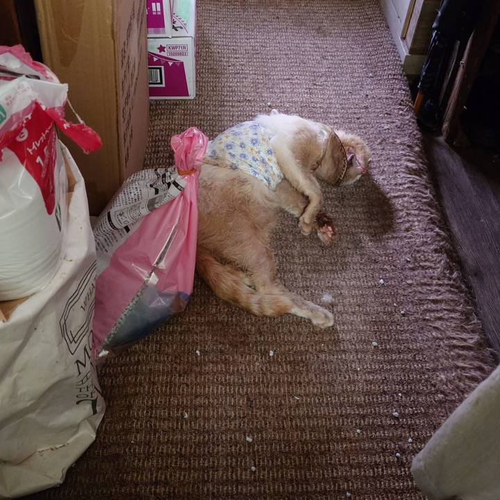 D4bbc3ac fdf7 44e3 b4c1 eec9c01a33a0 1759131818408