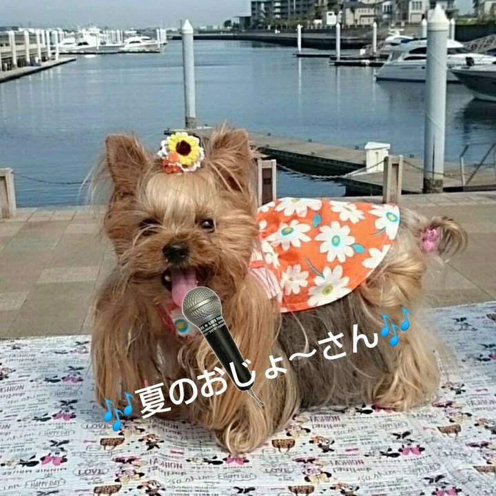 D4bbe302 51cc 4d1b 921c 13e71e549097 1628911649683