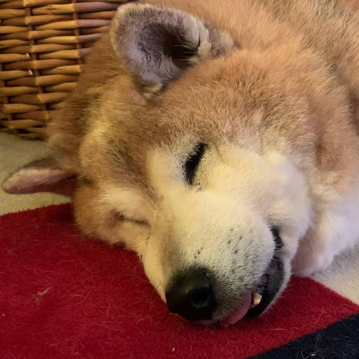 D4bc4879 7b77 425a bcd2 bcb4ca7b6908 1653205720514