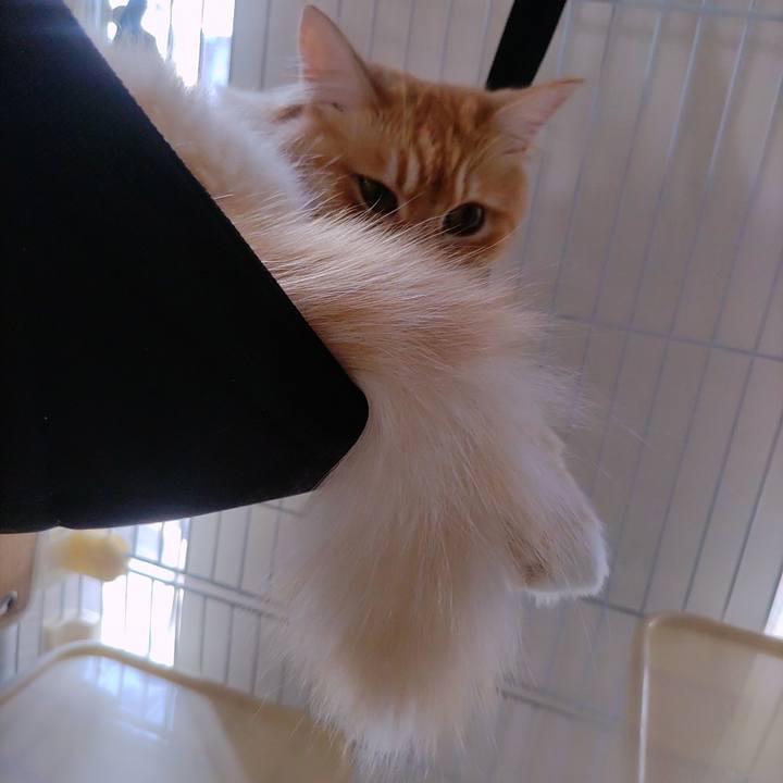 D4bc55e7 fa48 4d9d 8598 47fdd13e403b 1655599112259