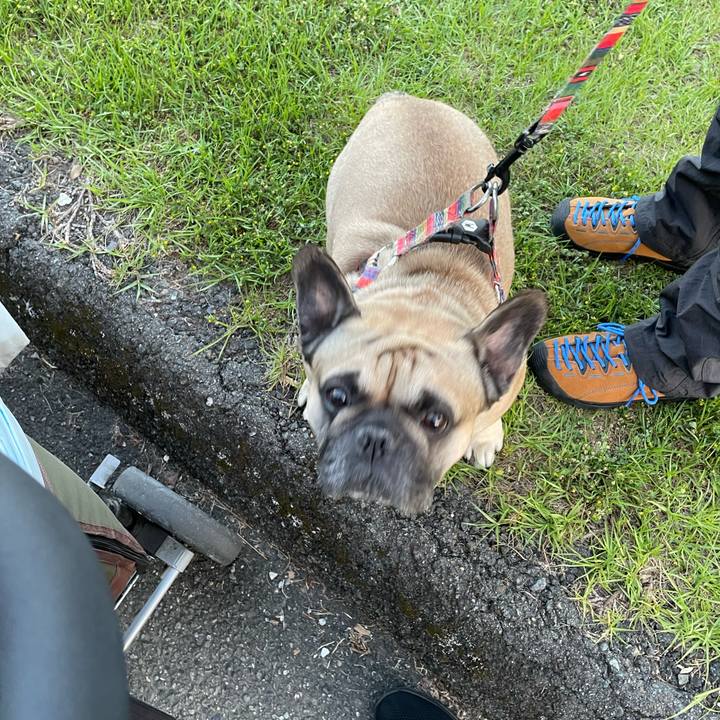 D4bc97b2 c923 4217 ae40 97e70c985f74 1684863981546