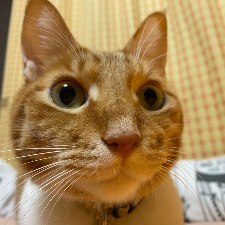 D4bc9a44 6272 4fa6 add3 ea8f795945f6 1699704810536