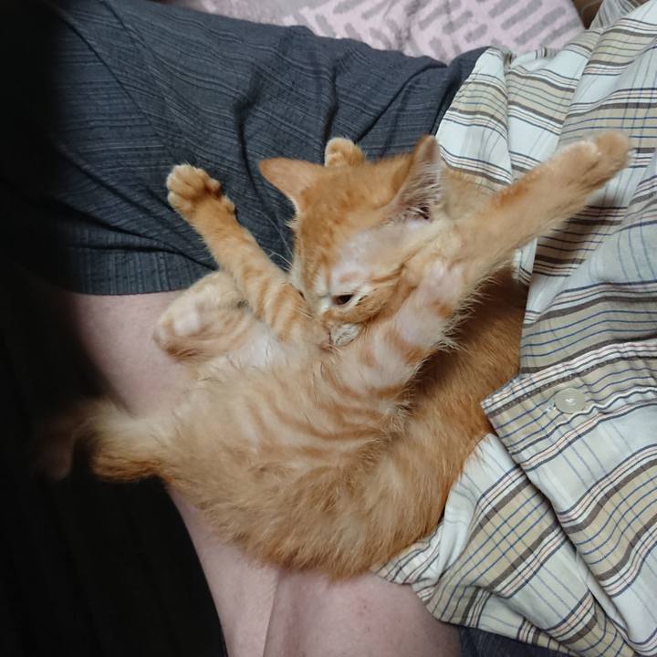 D4bce0bf 373d 4151 838d 2765ebe757b3 1630612960248