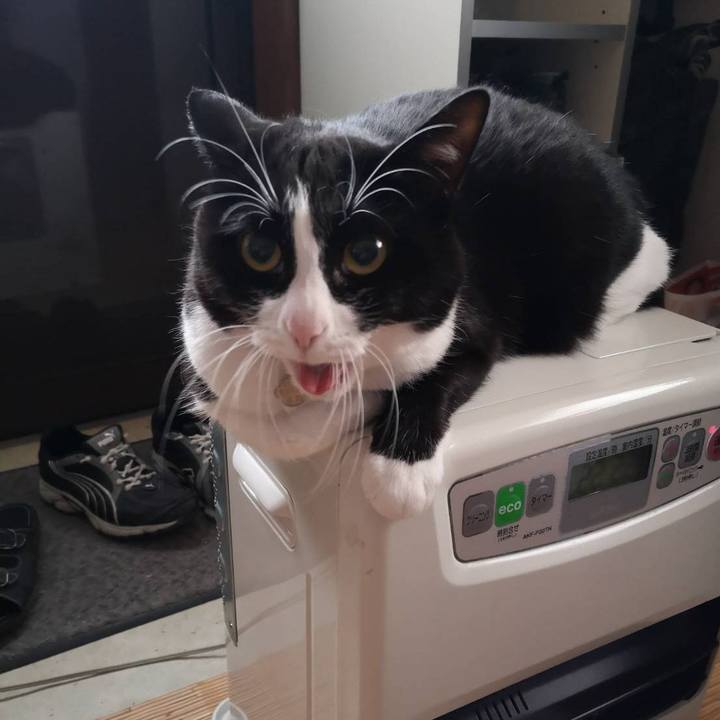 D4bd0e9b 625c 4996 9c94 fb45b38c5997 1635907113653