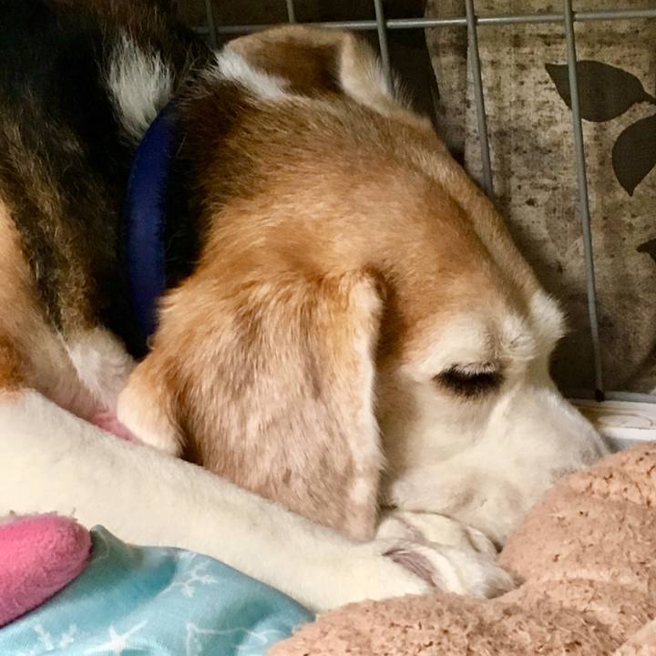 D4bd224f d87a 4ddd 8024 7e259e7c323e 1561953299161