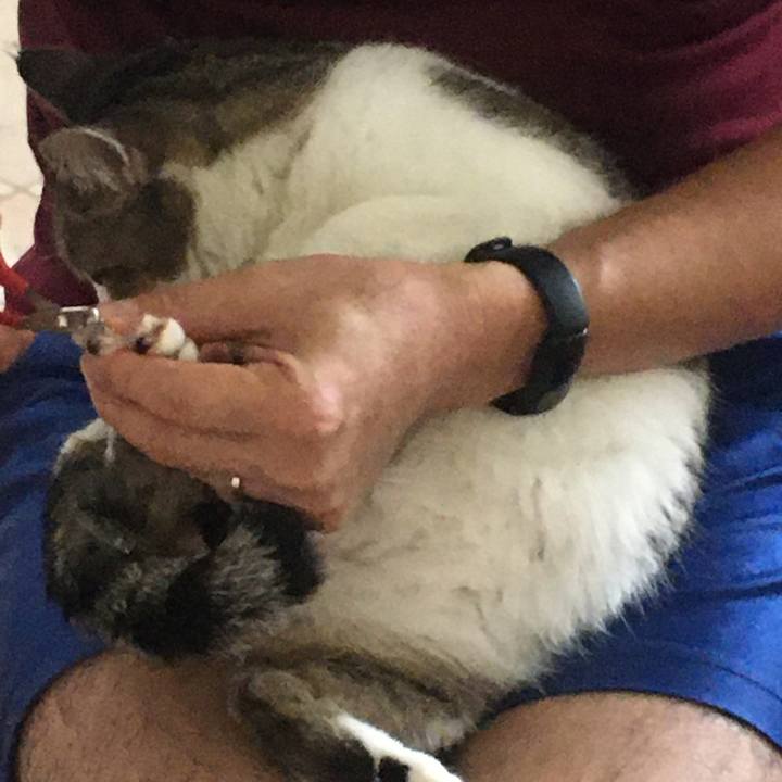 D4bd34b3 a45b 467d 9d21 78a513f491e1 1663386227529