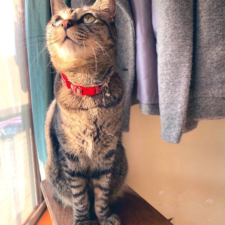 D4bd3510 fb66 47a3 9fb4 60abc233a70a 1579089484811