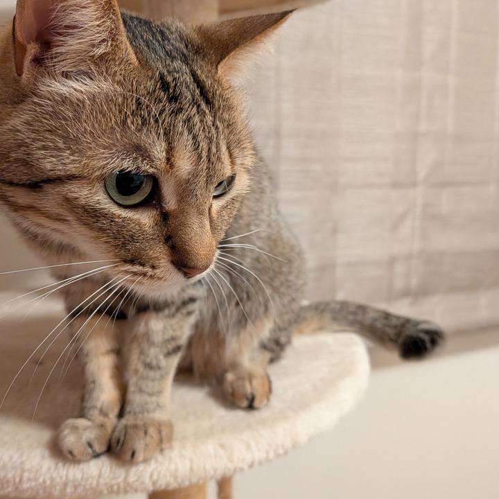 D4bd81bd fef4 4340 83ab 743ef03cbb66 1775083023711