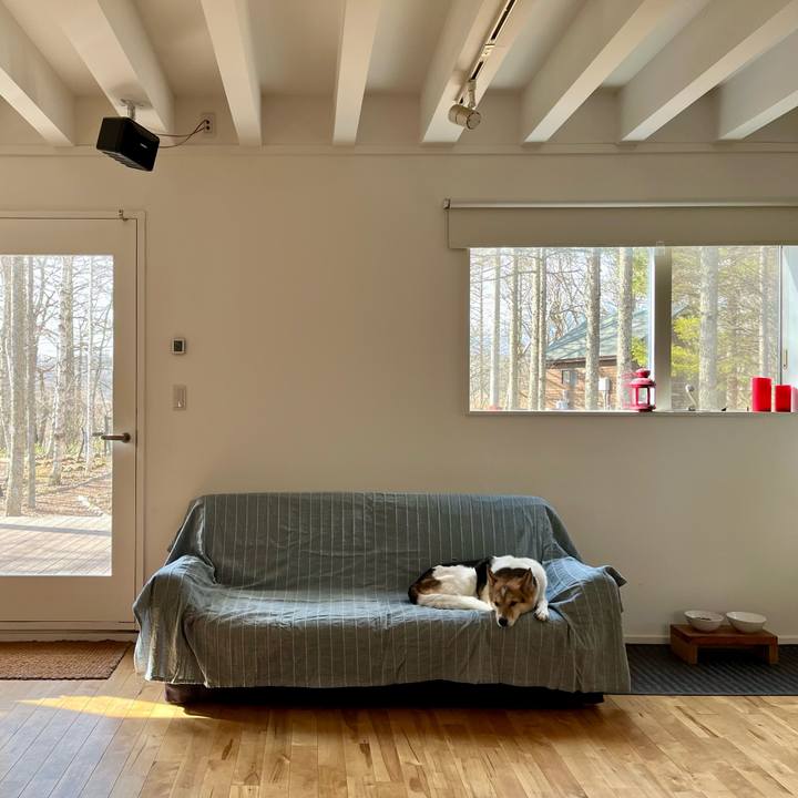 D4bd8cd9 2734 4b39 8ab8 3431bc20038a 1768446922641