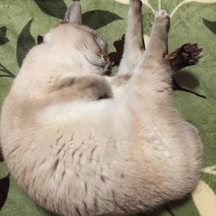 D4bdbb26 a5d4 466d 8336 59bee76a9e77 1580822356539