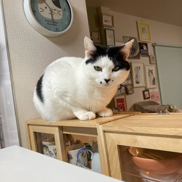 D4bdc50a 191f 4aea 88ee 95f221ee8a6f 1769979729418