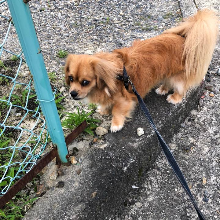 D4bdd03d 1d70 4e8e 92be bd04e176f479 1530483446712