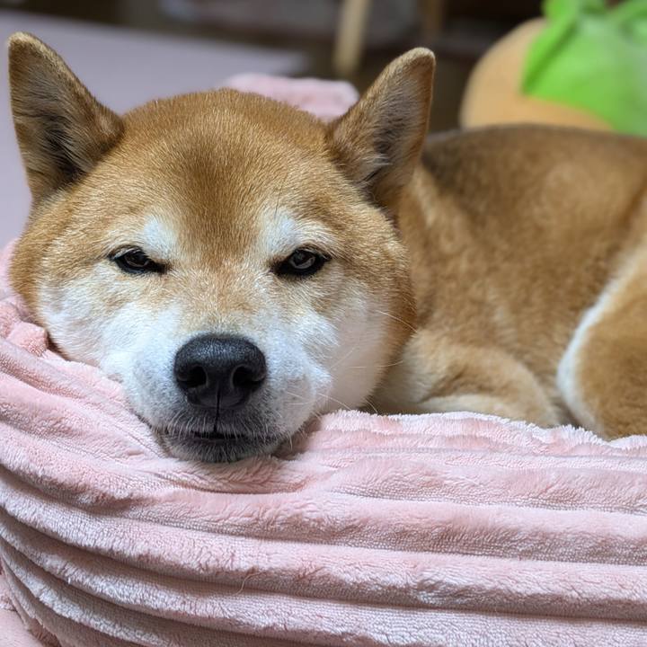 D4be085a 01ff 4d1a a4b1 5e5e12760e60 1744193653532