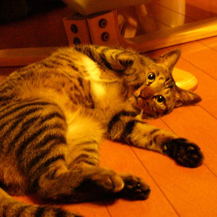 D4be4a19 9bef 4531 ad95 4cd13ea54e18 1572327703527