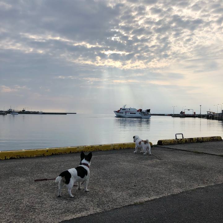 D4be59ff b725 4d17 97e3 2888ebba4c1d 1534197126989