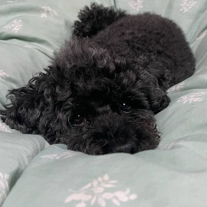 D4be8f3e 038c 488e ae03 7976b4aea765 1701870784406