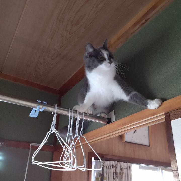 D4be923f 437c 4d41 a703 24e9c0814885 1574329719219