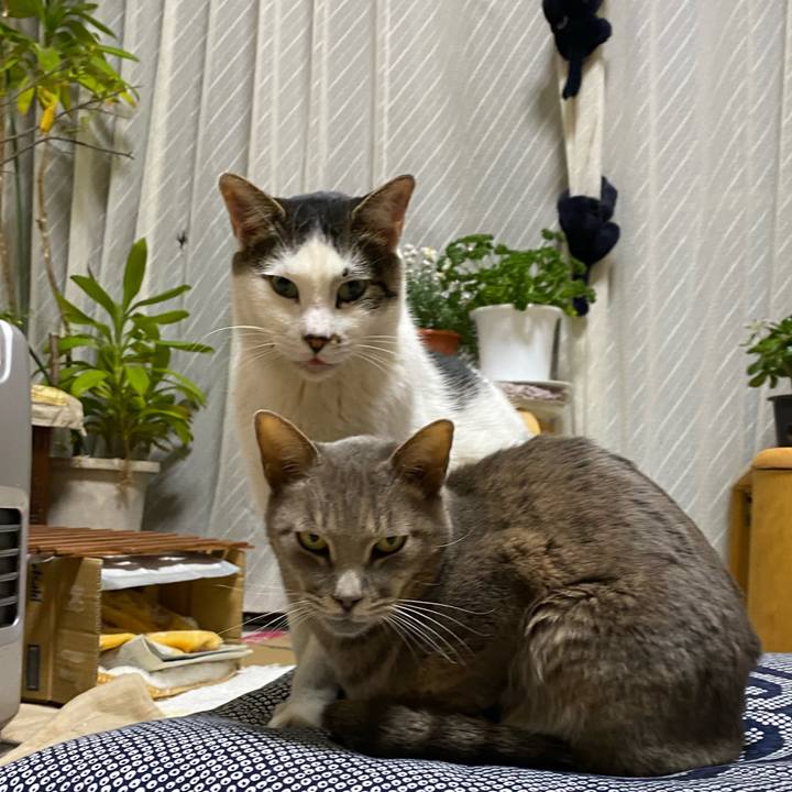 D4bec7cd 0193 4fc5 80e9 63d77b7df4e6 1646005115888