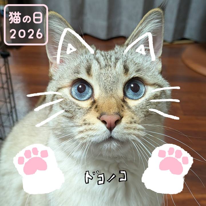 D4bec9e7 53da 496b bdc5 8835a5d6c203 1771781222291