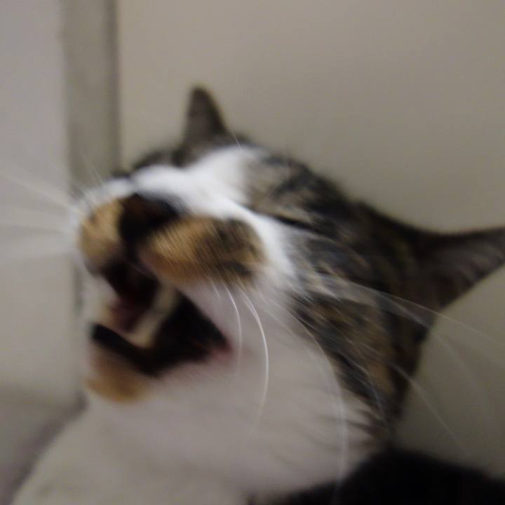 D4bed2a3 d8ed 49d0 9a5f 5c5031f9407b 1789825442339
