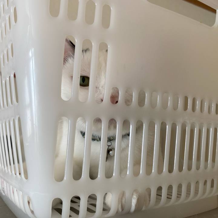 D4bee24d 19e2 405d 8103 c3d769de1e2e 1632749118890